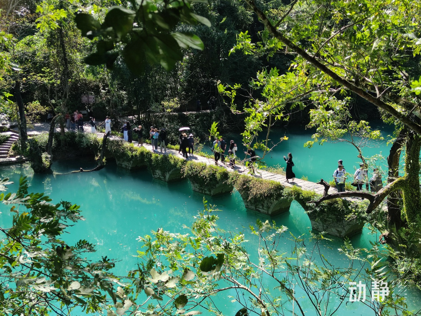 小七孔景区的碧绿潭水和石桥